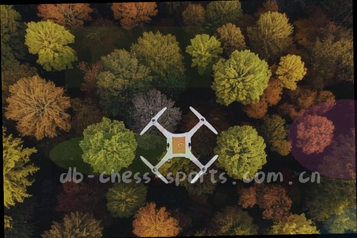 深色会员卡面并排排列，卡上分布刻度环与专属标识图形，边缘透出橙紫渐变光